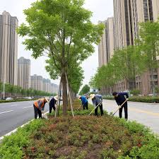 FIFA2026官方网站入口 校园绿化工程项目实施方案